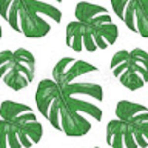 Meet your Posher, Kaylee